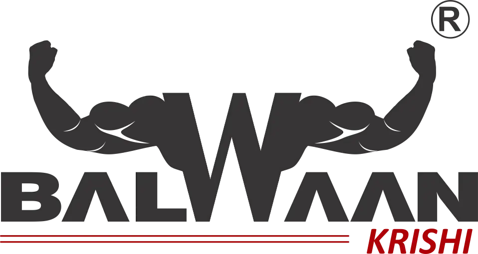 Balwaan Balwaan